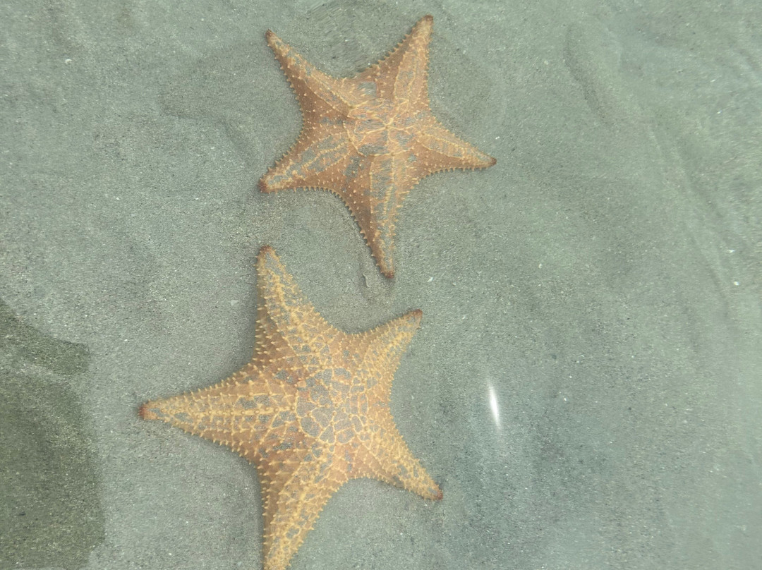 Marco's Tours & Transfers-卡维塔必去景点