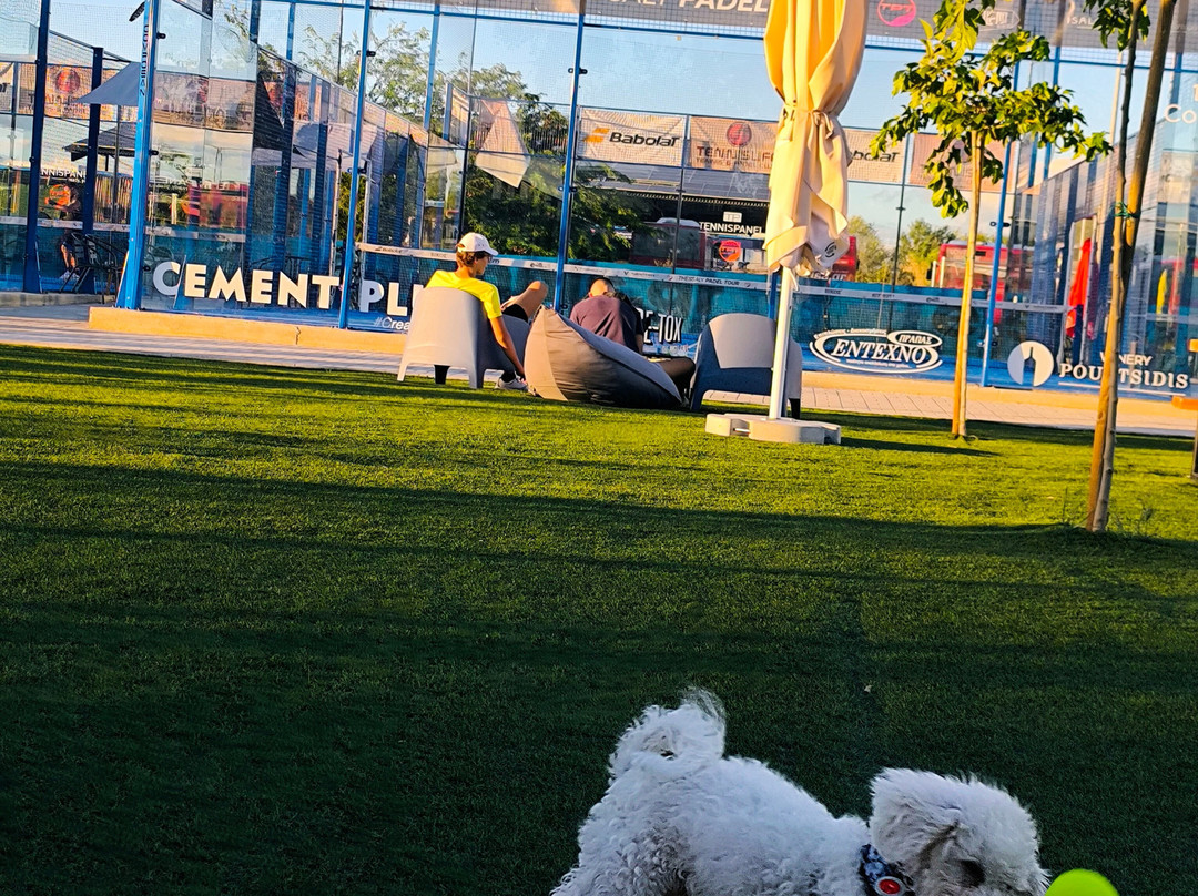 Tennislife Tennis & Padel Club景点图片