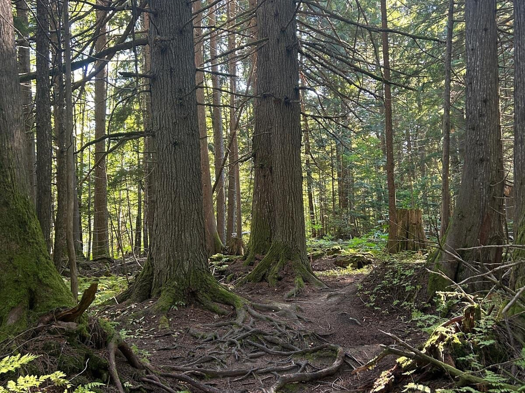 Blanket Creek Provincial Park-雷夫尔斯托克必去景点
