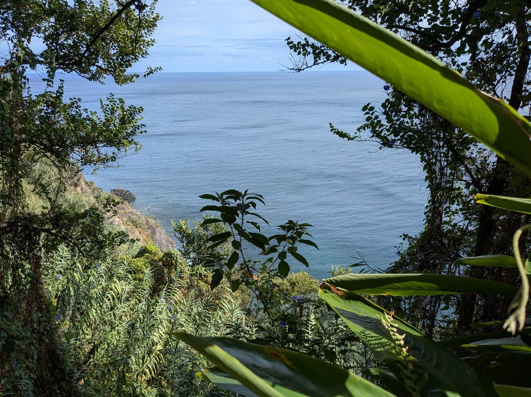 Praia Da Amora景点图片