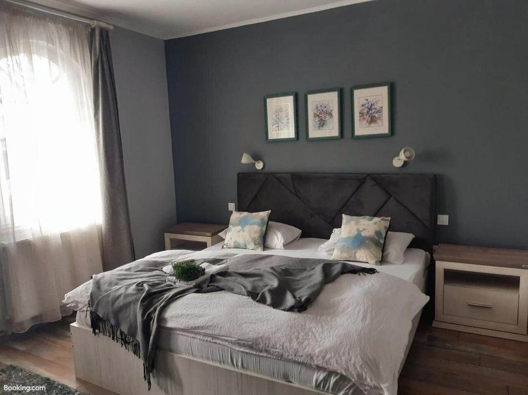 Magic Apartments Hunedoara主图
