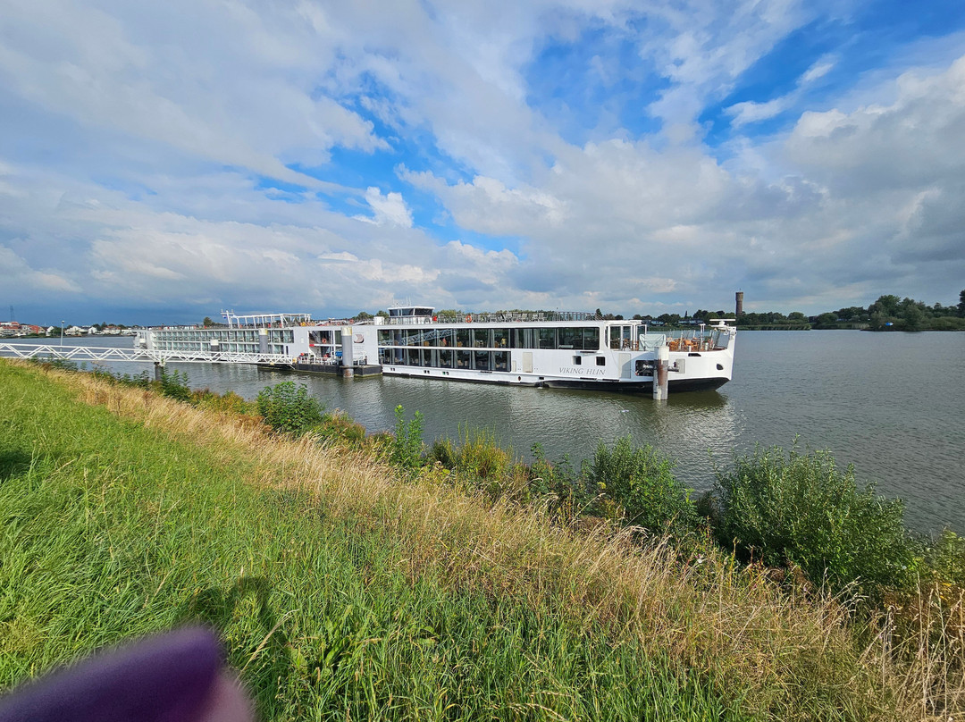 Viking Line Cruises景点图片