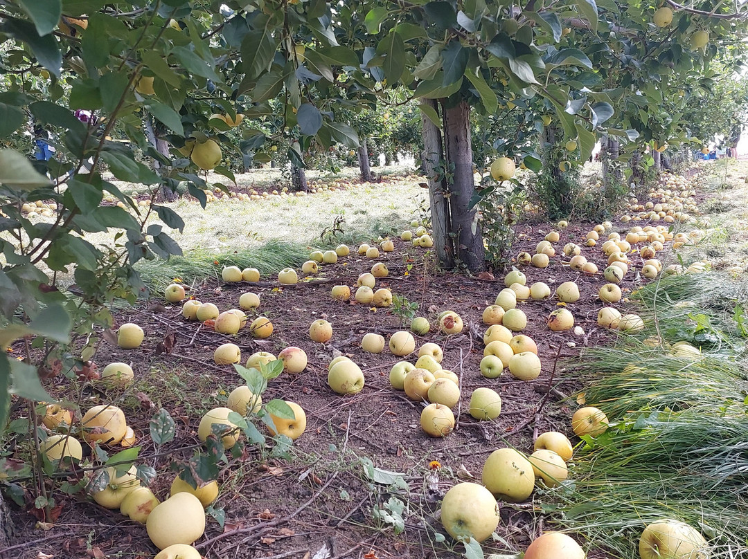 La Ferme Genest-Saint-Nicolas必去景点