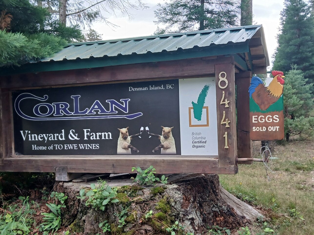 Corlan Vineyard & Farm景点图片