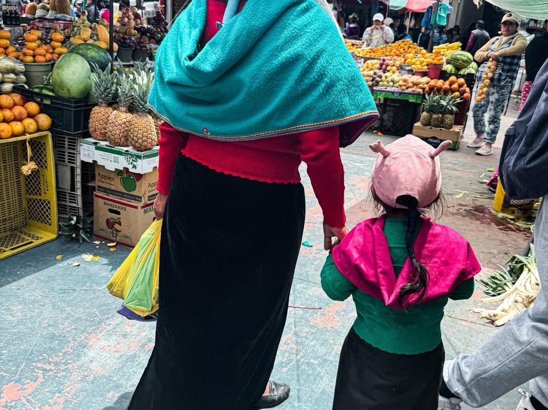 Wanderbus Ecuador景点图片