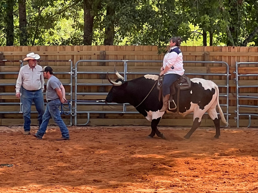 Cowboy Town