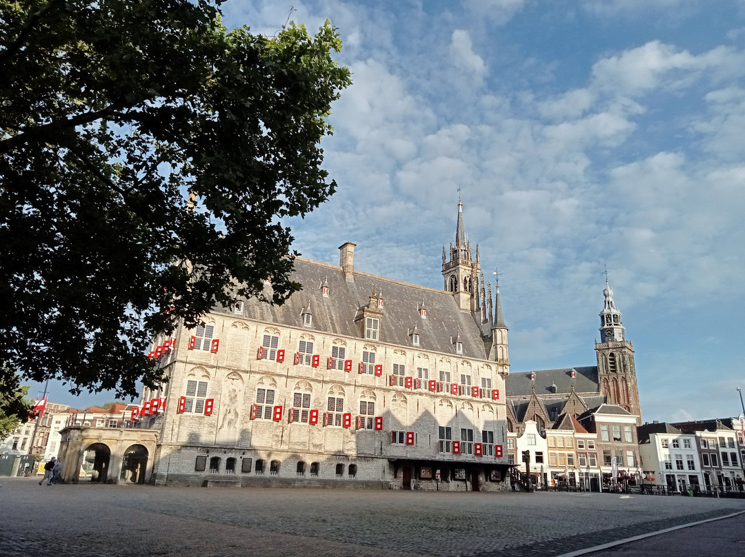Stadhuis Gouda (City Hall)景点图片