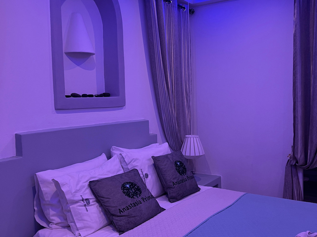 阿纳斯塔西亚公主酒店主图