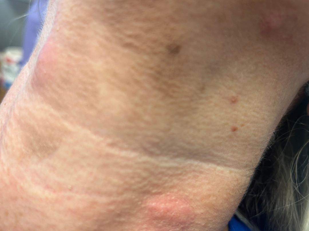 Best Western Plus Yadkin Valley Inn & Suites主图