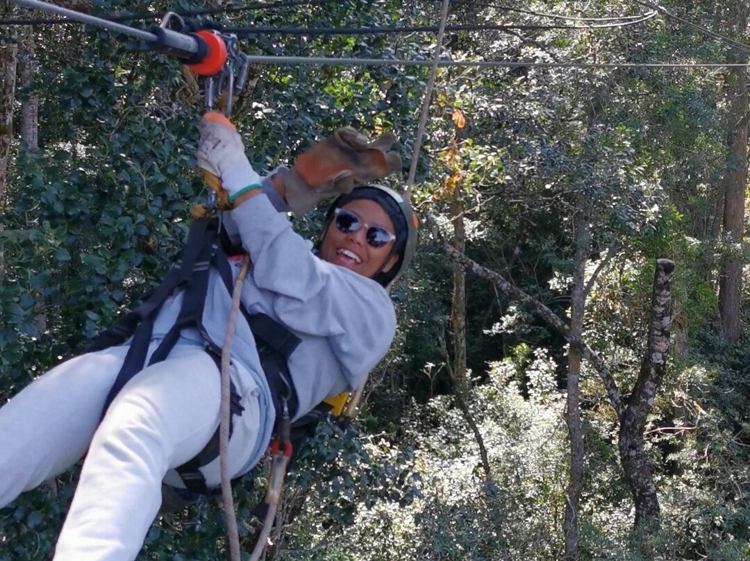 Tsitsikamma Canopy Tours景点图片