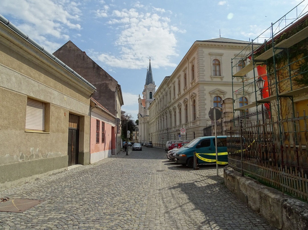 Vizivaros Parish Church景点图片