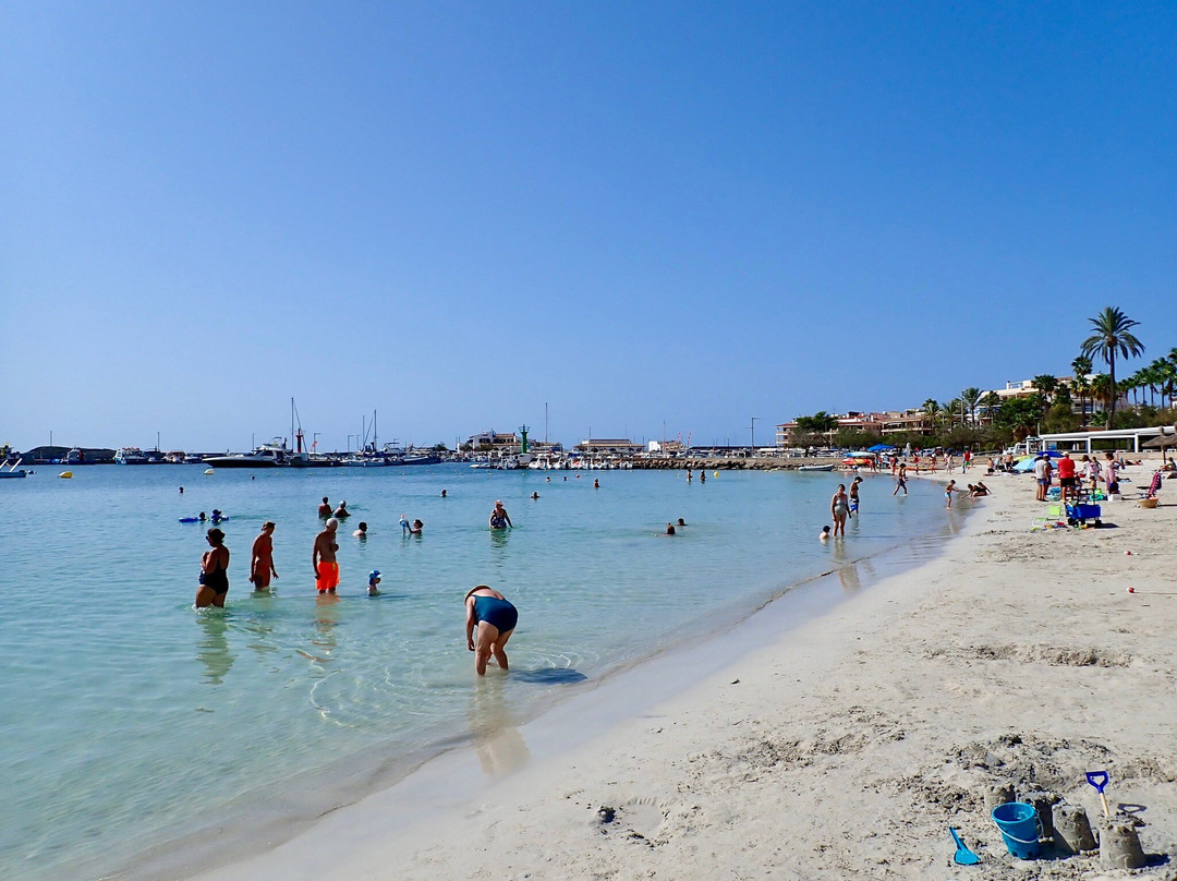 Playa Es Port景点图片