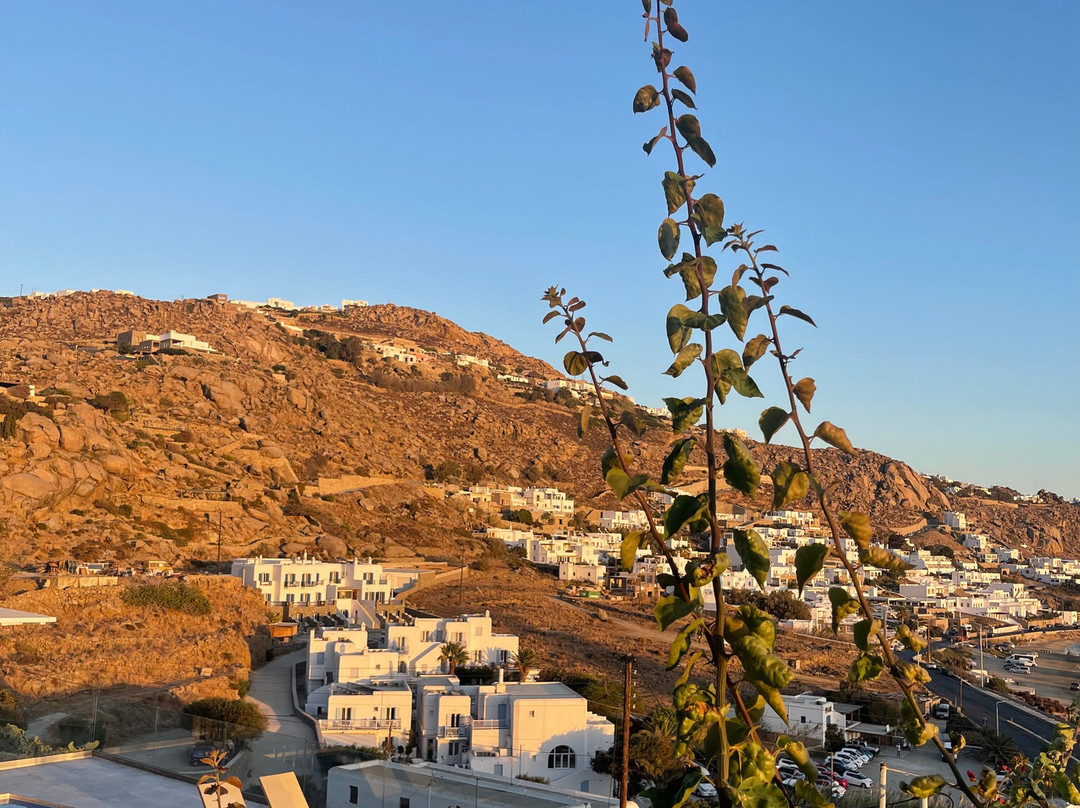 Hotel Paradision主图