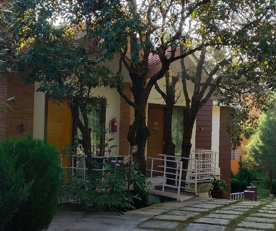 Essence of Nature主图