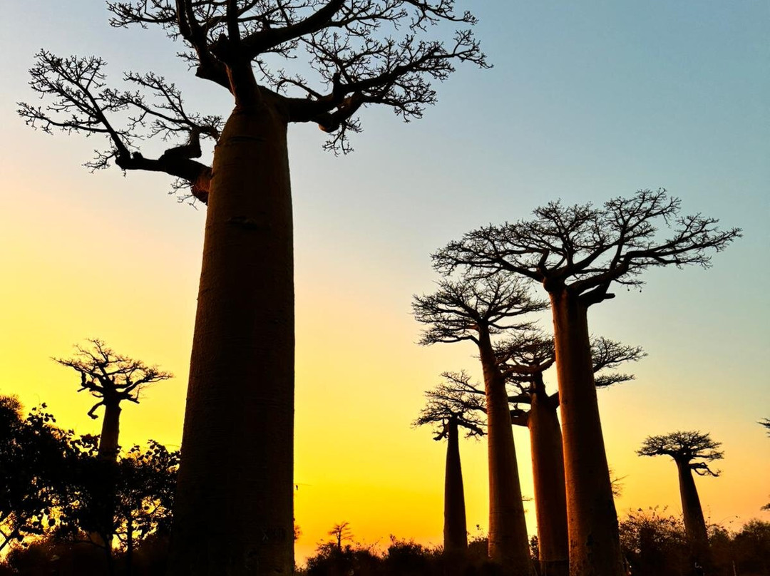 Malagasy Tours-安塔那那利佛必去景点