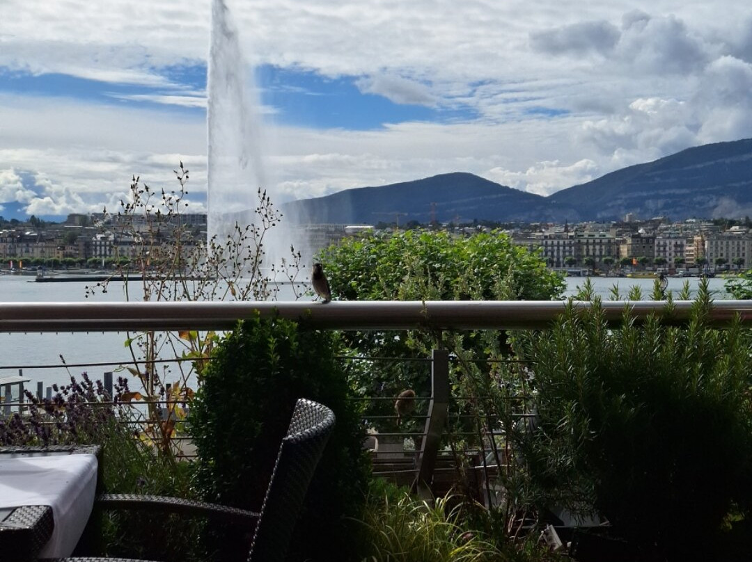 坎品斯基日内瓦大酒店主图