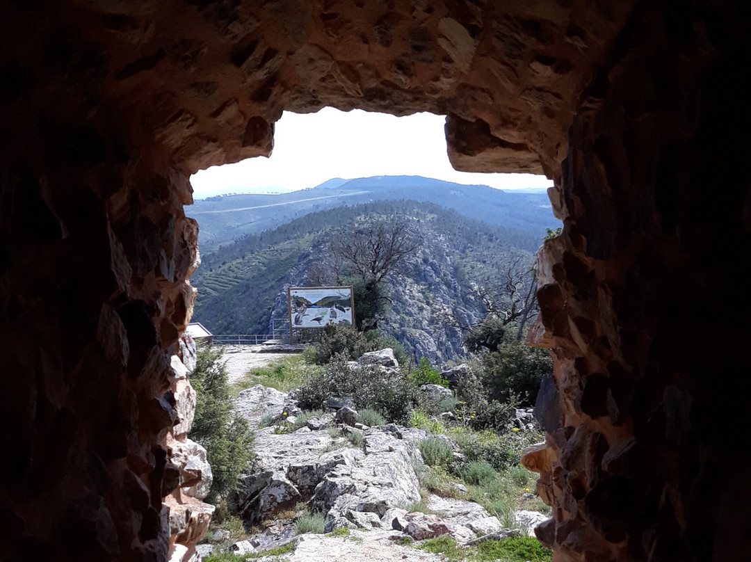 Castelo Do Rei Vamba-castelo De Rodão景点图片