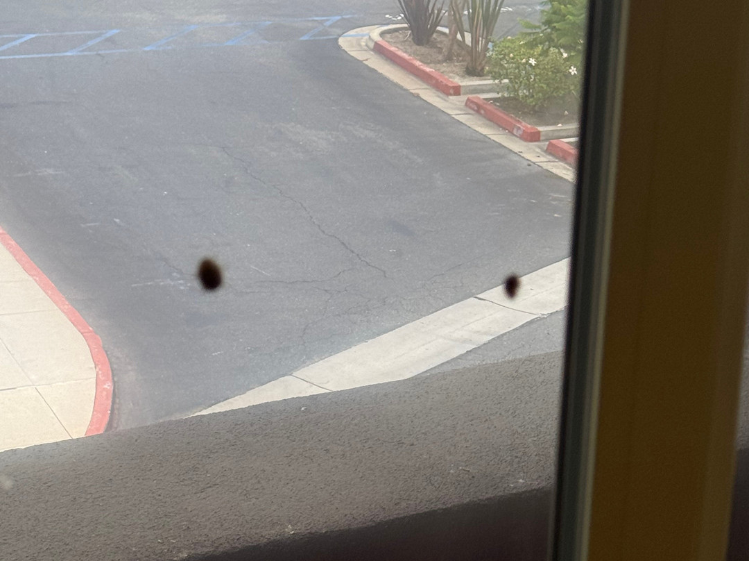 Ayres Hotel Seal Beach - Cypress主图