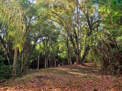 Colinas De Cabreúva主图