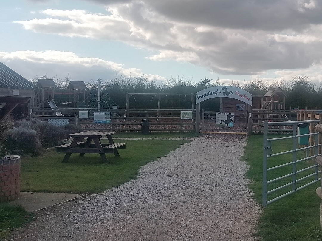 Bransby Horses-Bransby必去景点