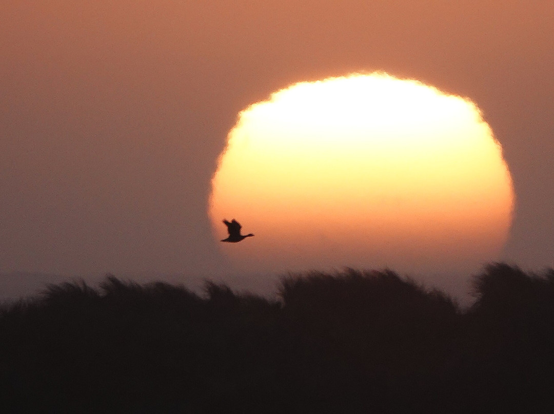 Floras Lake House Bed & Breakfast主图