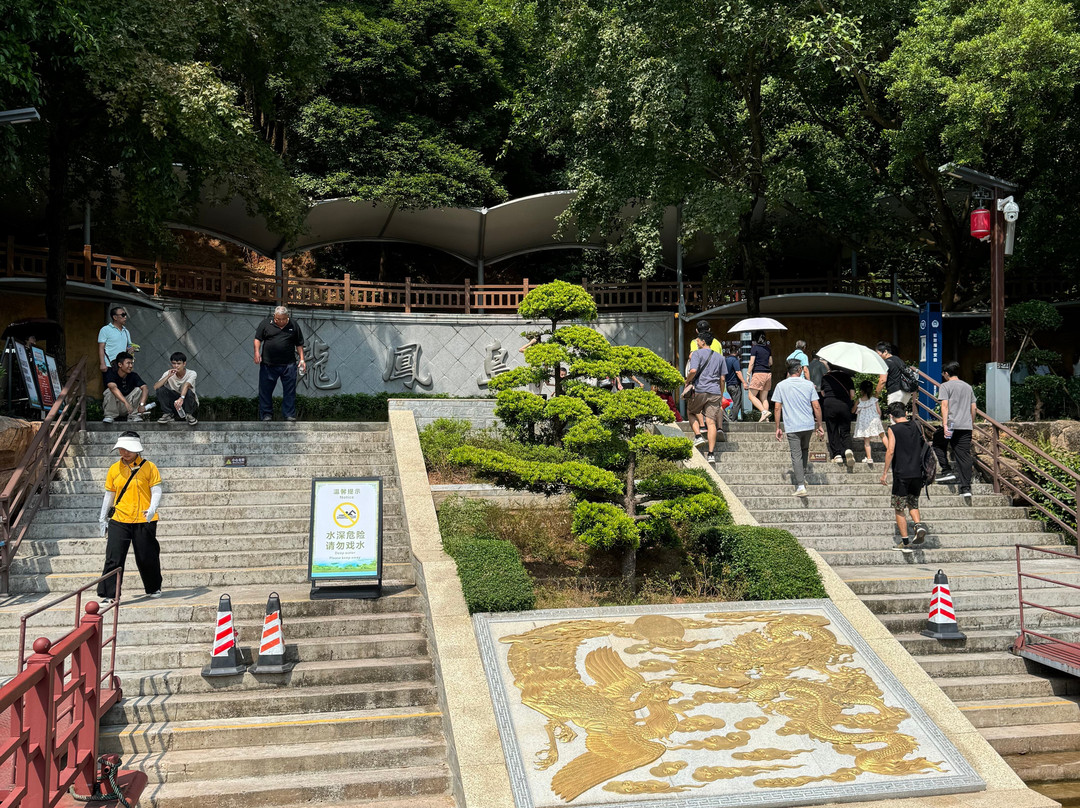 龙凤岛-东源县必去景点