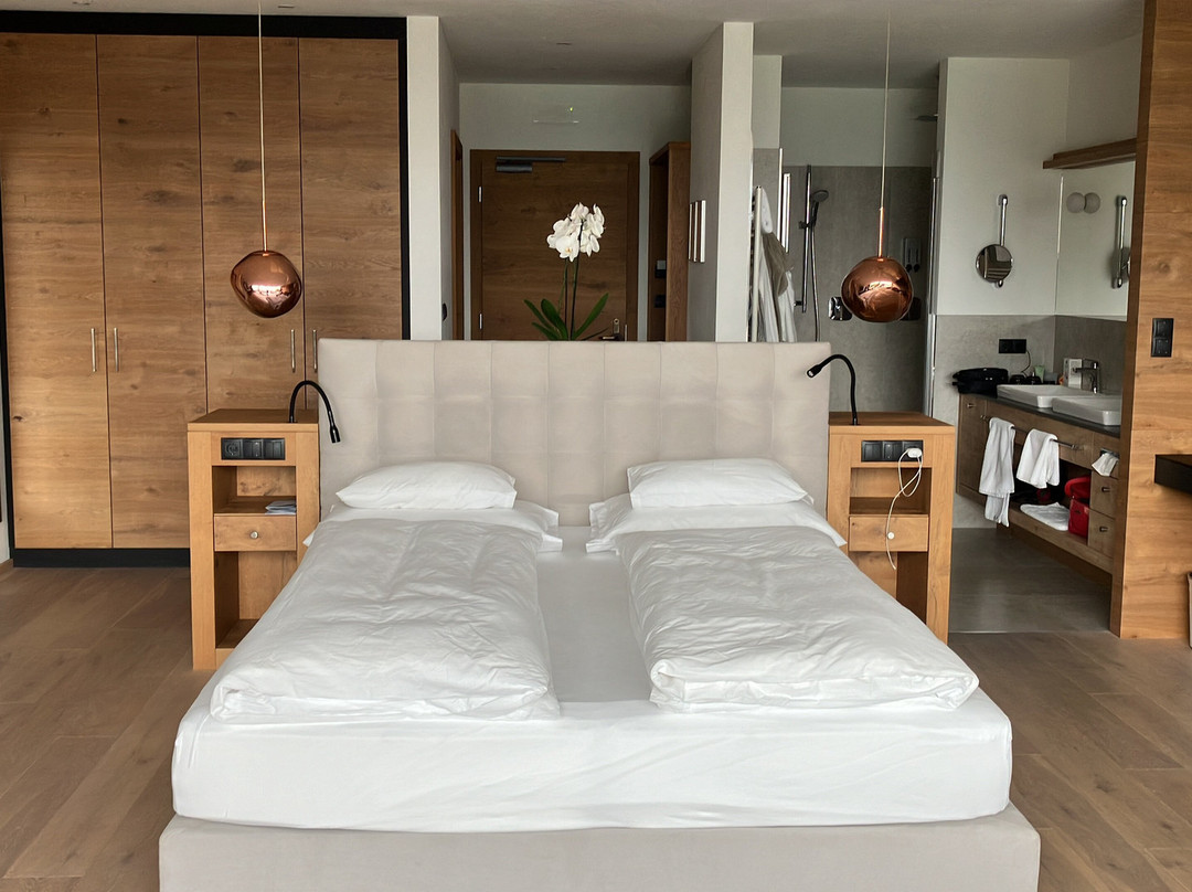 Hotel Alpen Tesitin主图