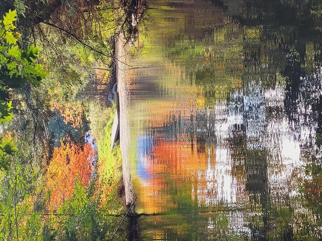 Shubenacadie Canal Waterway景点图片