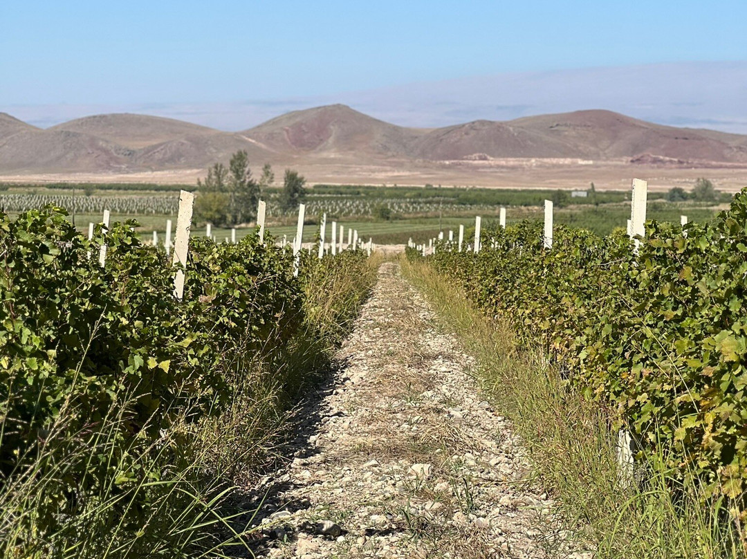 Voskeni Wines-Araks必去景点