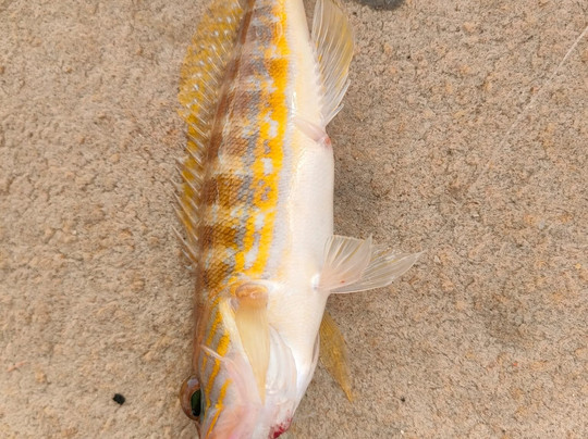 Sostis & Saratonga Faliraki Fishing Trips-Faliraki必去景点