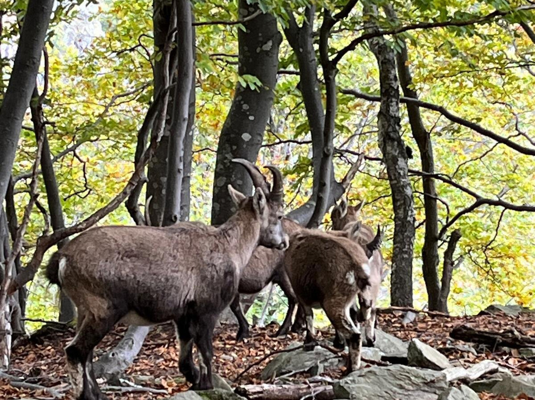 Agriturismo Ca' di Racc主图
