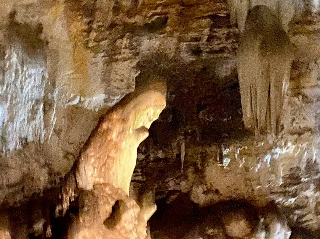 Wondercave景点图片