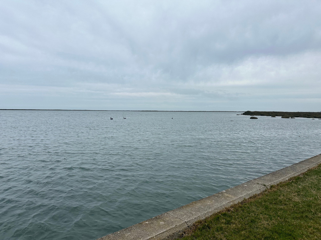 Manns beach-Port Albert必去景点