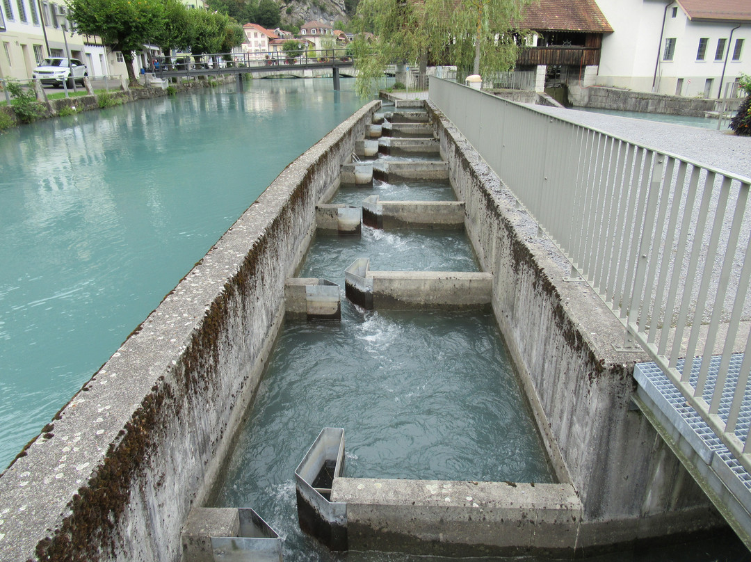 Kleine Staatsschleuse (mühleschleuse)-下森必去景点