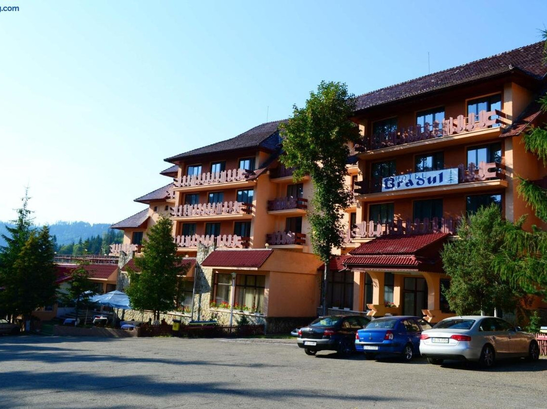 Hotel Bradul