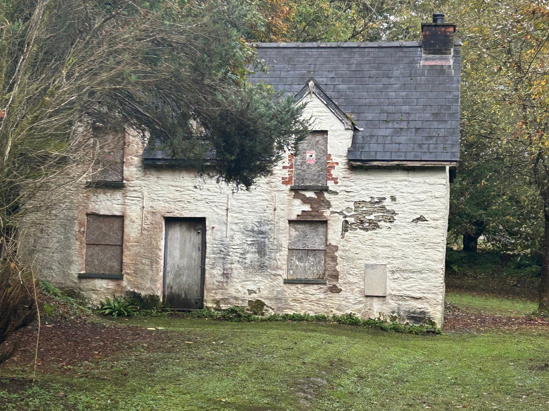 Cenarth Falls景点图片