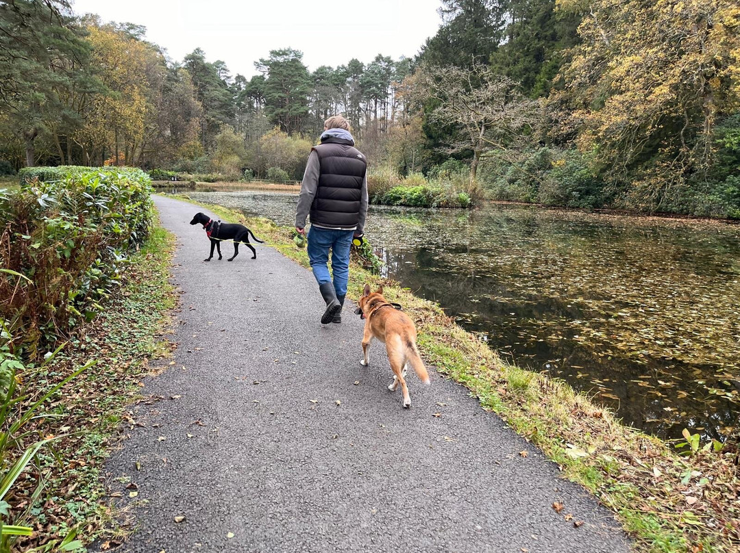 Craig-y-nos Country Park-Pen-y-cae必去景点