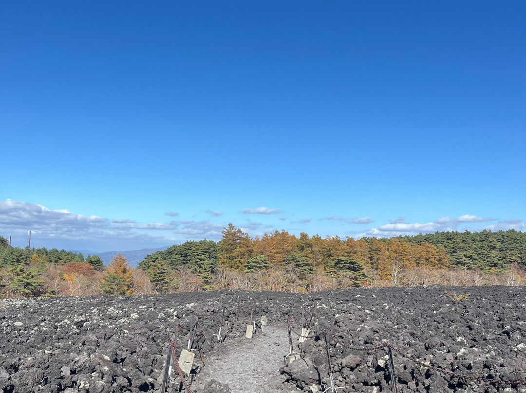Mt. Iwate Yakehashiri Lava Flow-八幡平市必去景点