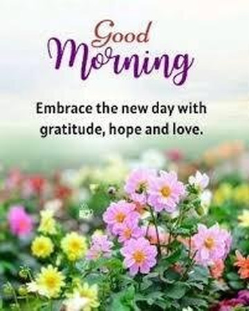 My Rajasthan Cabs Services-焦特布尔必去景点