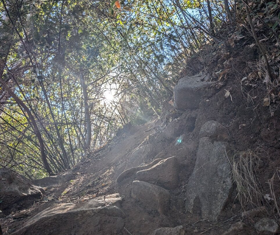 Pogonip-圣克鲁斯必去景点