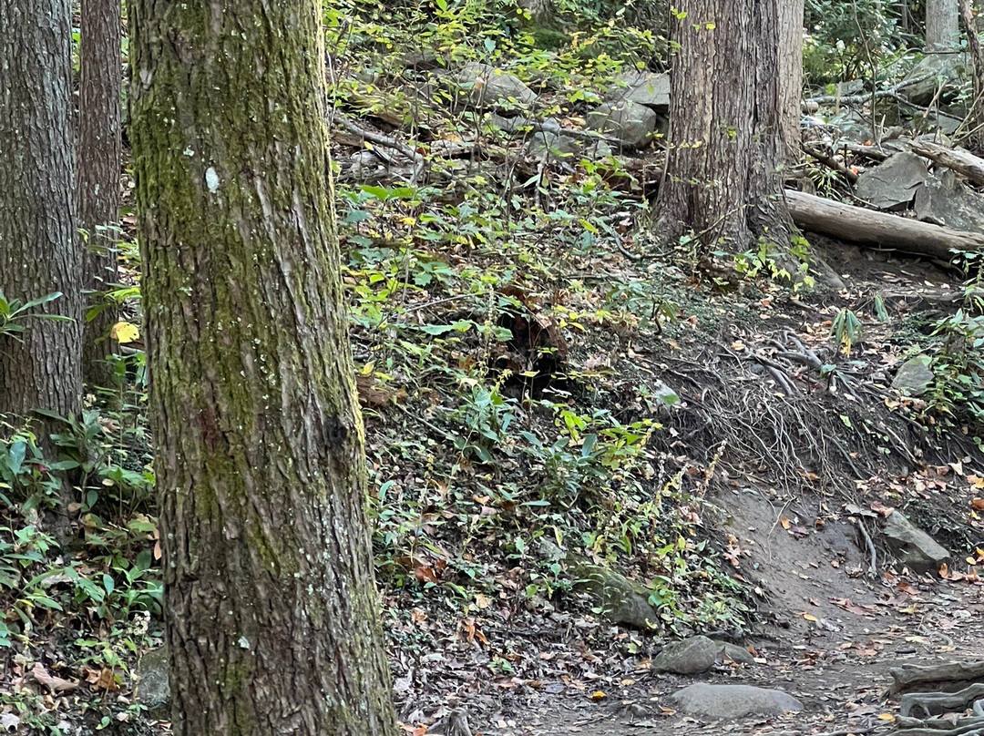 Rainbow Falls Trail-大雾山国家公园必去景点