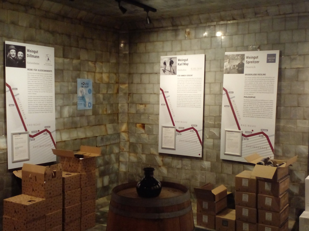 Vinothek Rheinweinwelt Ruedesheim-吕德斯海姆必去景点