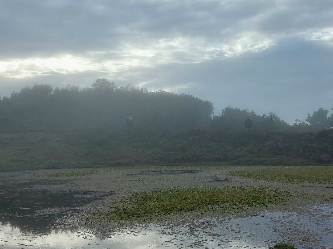 Green Devil Safari-沙尔必去景点