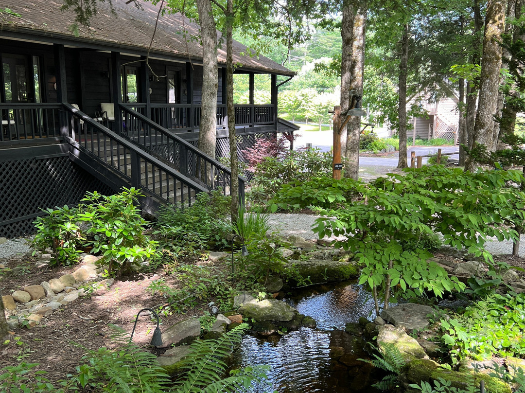 The Wells Cashiers主图