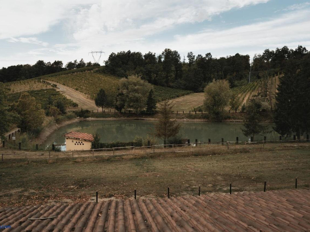 Valditerra Vini - B&B La Rombetta主图
