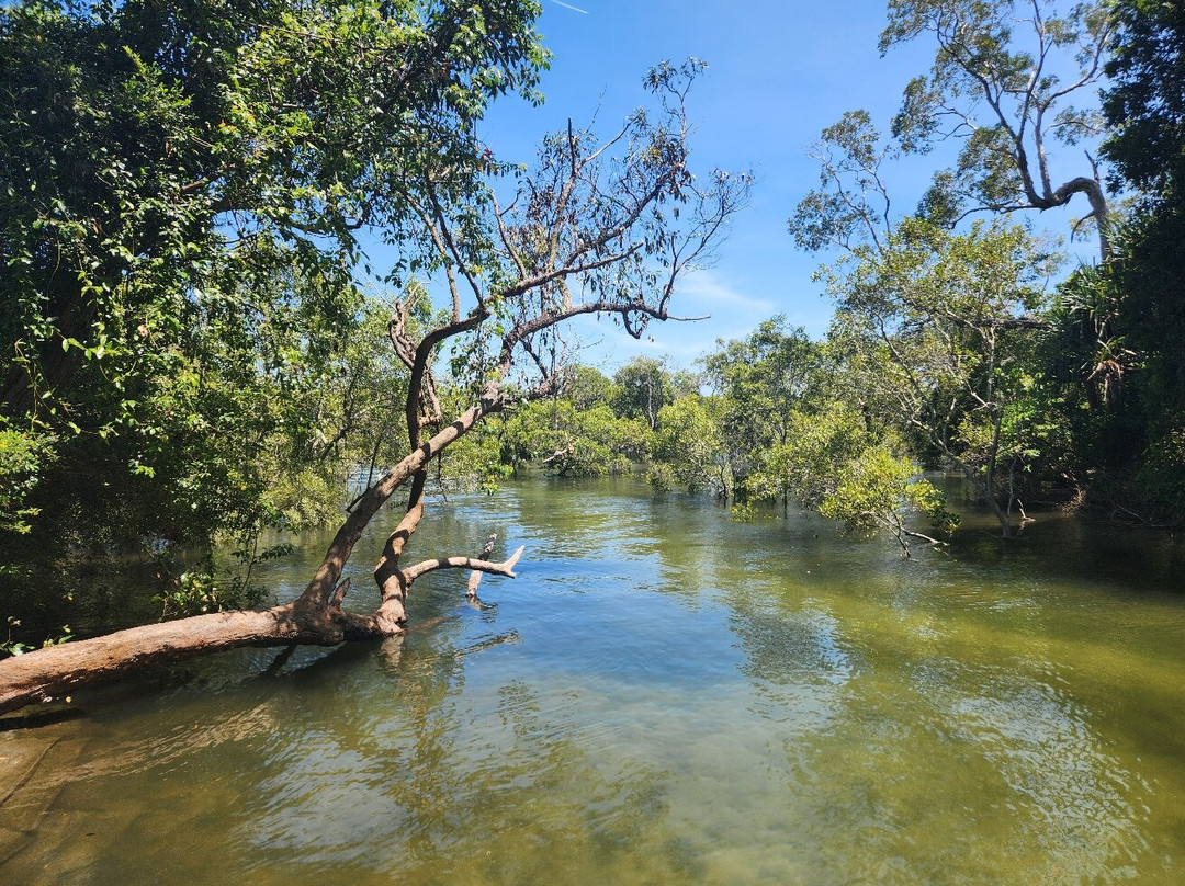 Myora Springs Conservation Area-North Stradbroke Island必去景点