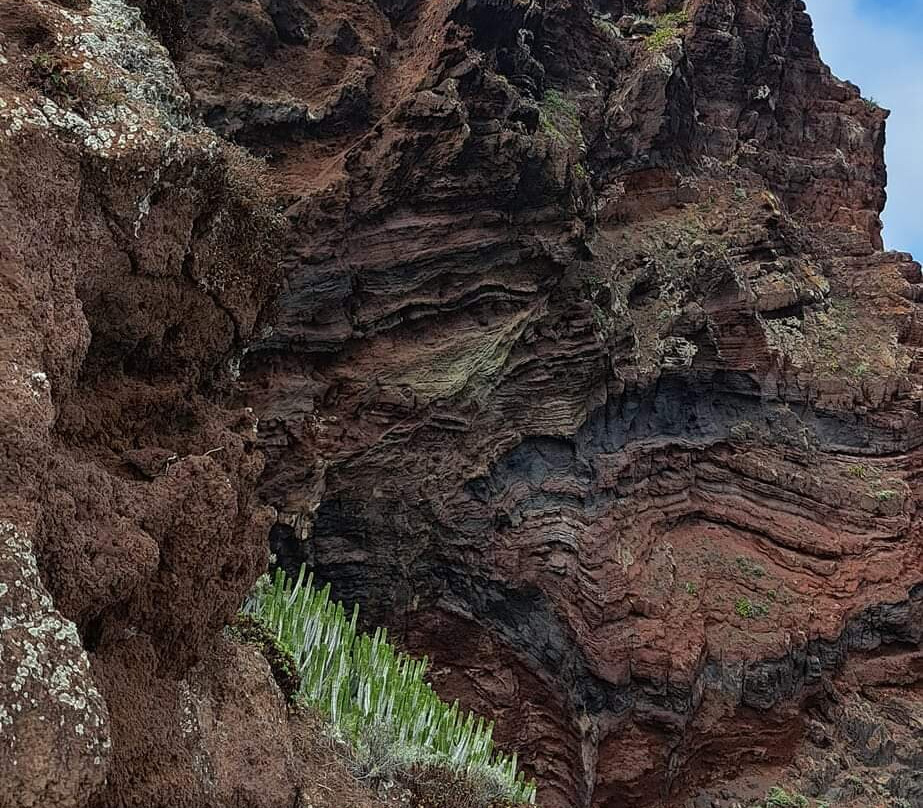 Mirador De La Playa De Nogales景点图片
