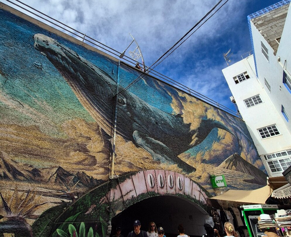Los Cristianos Harbour景点图片