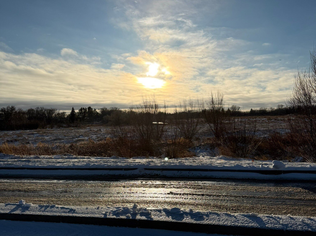 Comfort Inn & Suites主图