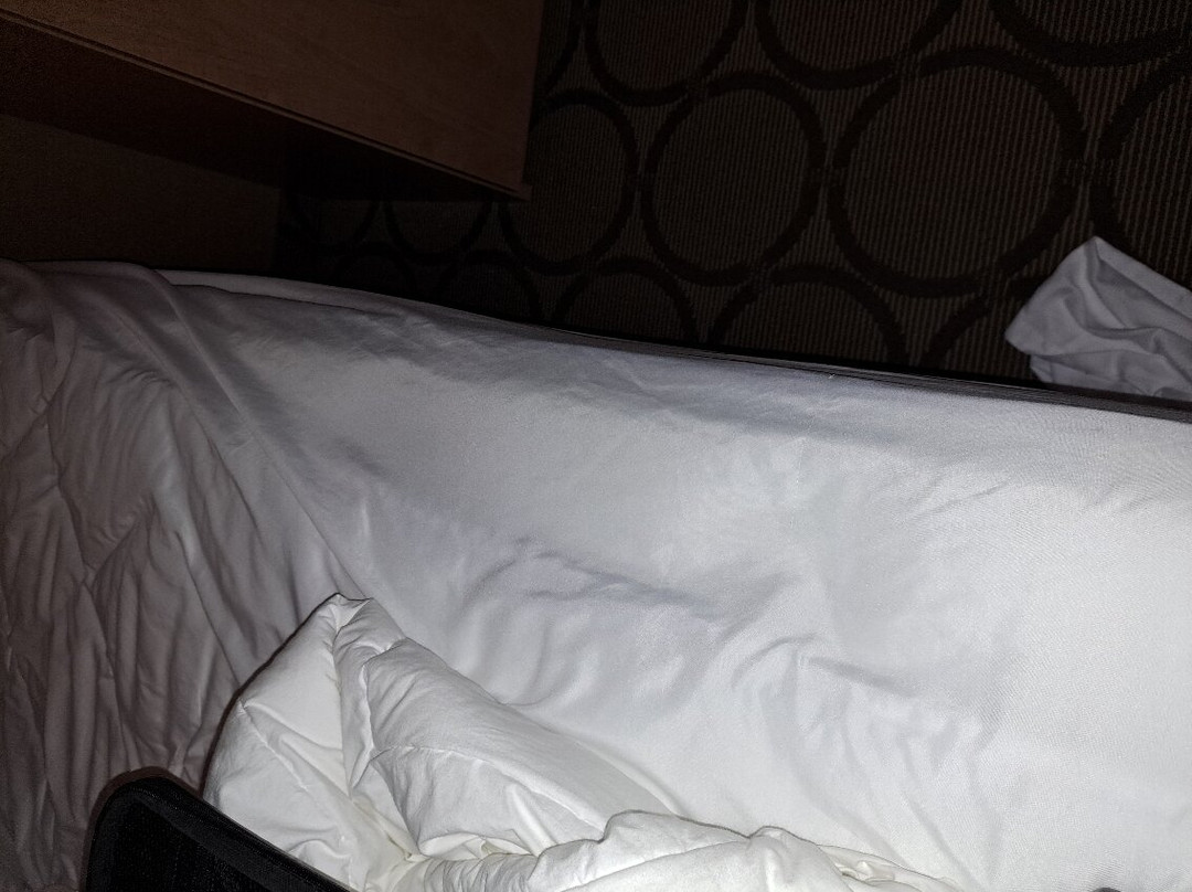 Comfort Inn Cobourg主图